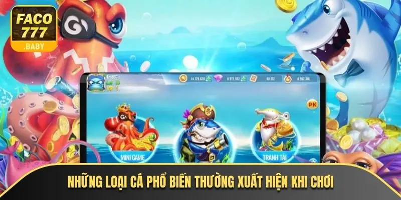 Những loại cá phổ biến thường xuất hiện khi chơi