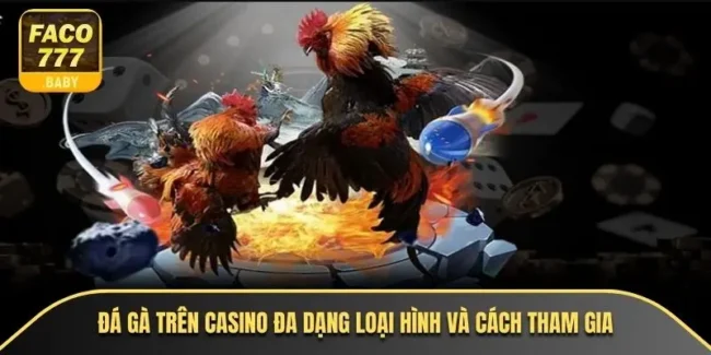 Đá gà trên casino