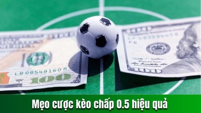 Bỏ túi một vài mẹo cược kèo chấp 0.5 hiệu quả