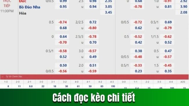 Cách đọc kèo chi tiết
